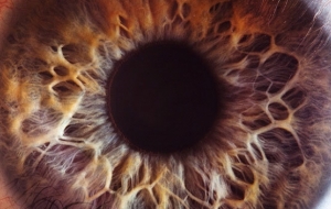 Amazing Closeups Of The Human Eye 