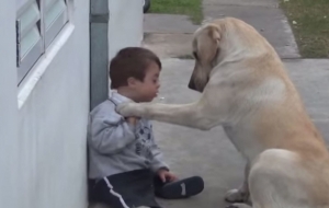 When Her Son Desperately Needed A Friend, Mom Burst Into Tears When She Saw The Dog&rsquo;s Reaction