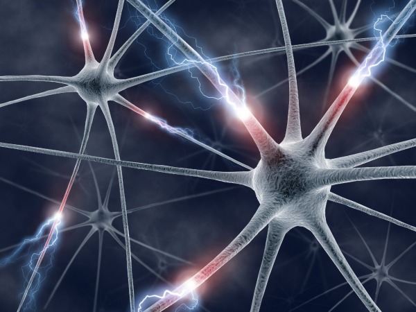 Nerve impulses to and from the brain travel at fast as a sports car