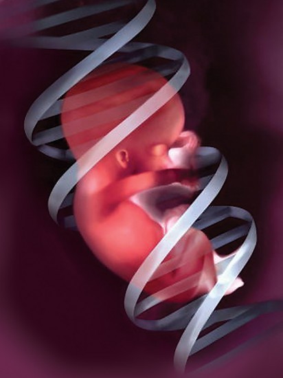 Fetal DNA Sequencing
