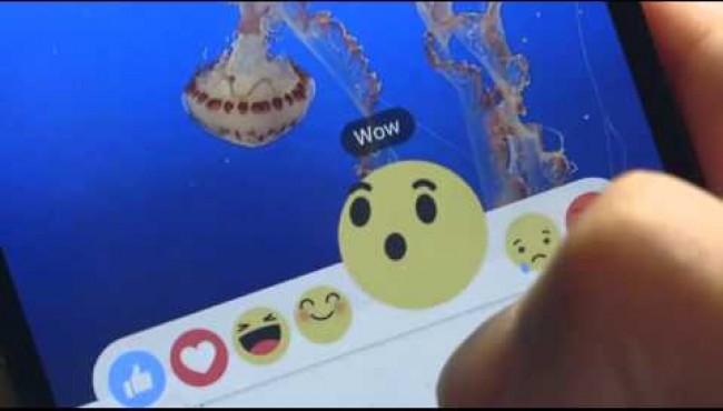 Facebook announced on October 8 that they’re testing new options to expand status update reaction options. They will be aptly named “reactions.” 