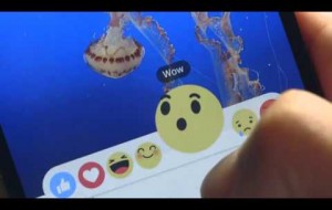 Facebook announced on October 8 that they’re testing new options to expand status update reaction options. They will be aptly named “reactions.” 