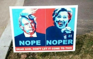 12+ Funny Voting Signs Express What People Really Think About These Elections