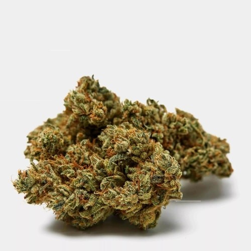 CBD Wirkung einfach erklärt bei Genuine Swiss